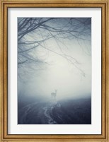 Framed Foggy Morning Hike