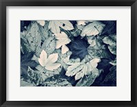 Framed Forest Floor