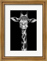 Framed Giraffe