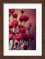 Framed Red Flowers