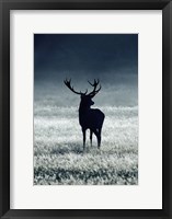 Framed Silhouette Deer