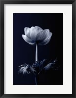 Framed Single Flower