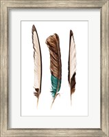 Framed Three Feathers