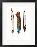 Framed Three Feathers