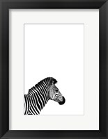 Framed Zebra 2