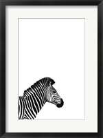 Framed Zebra 2