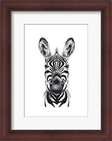 Framed Zebra Illustration