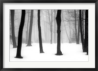 Framed Winter Fog