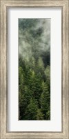 Framed Smoky Forest Panel II