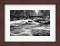 Framed Flow Of The Creek