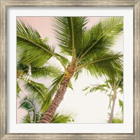 Framed Bright Oahu Palms II