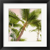 Framed Bright Oahu Palms II