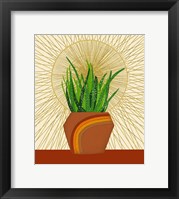 Framed Snake Plant