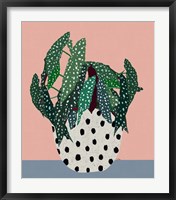 Framed Plant in Dotted Pot