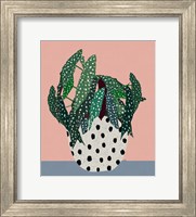 Framed Plant in Dotted Pot