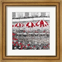 Framed Splash Of Red In Paris II