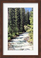 Framed Mountain River
