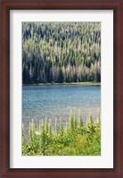 Framed Hidden Lake