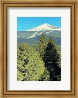 Framed 3D View