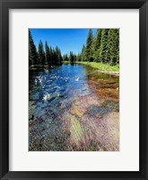 Framed Peaceful Stream