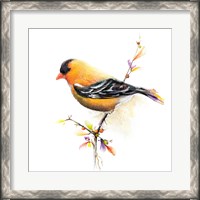 Framed Watercolor Chickadee III