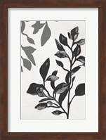 Framed Botanical In Noir I