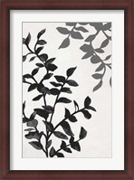 Framed Botanical In Noir II