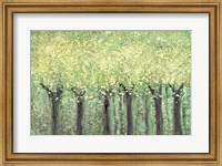Framed Live Green Trees
