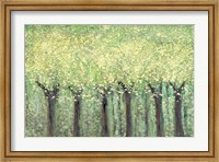 Framed Live Green Trees