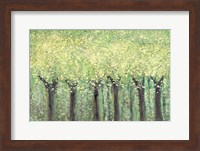 Framed Live Green Trees