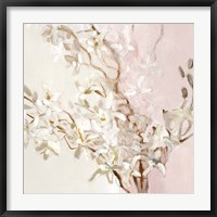 Framed Blushing Orchids