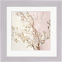 Framed Blushing Orchids