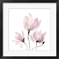 Framed Floral Sway IV