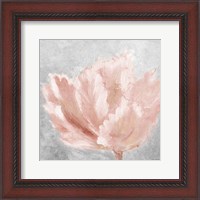 Framed Pink Elegant on Gray