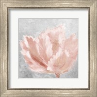 Framed Pink Elegant on Gray