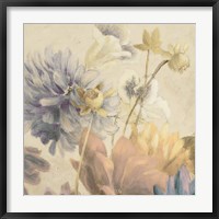 Framed Soft Bloomers
