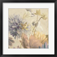 Framed Soft Bloomers