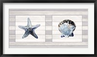 Framed Starfish & Shell Duo