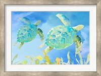 Framed Turtles Ascend