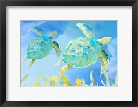 Framed Turtles Ascend