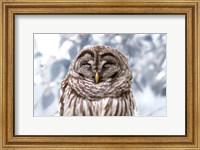 Framed Winter Feathers
