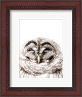 Framed Warm Feathers
