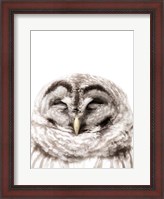 Framed Warm Feathers