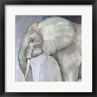 Elephant Framed Print