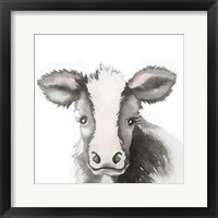Calf Love Framed Print