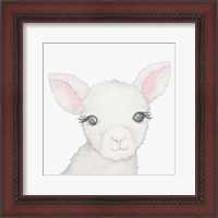 Framed Baby Lamb