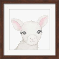 Framed 'Baby Lamb' border=