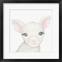 Baby Lamb Framed Print