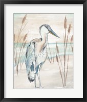 Heron By Beach Grass I Framed Print