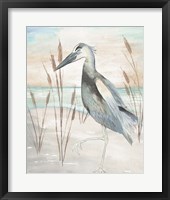 Heron by Beach Grass II Framed Print